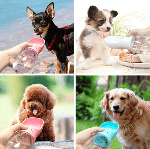 dogs drinking from the portable water bottle