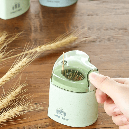 Eco toothpick holder